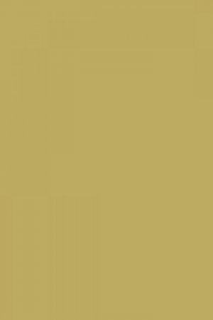FARROW AND BALL CHURLISH GREEN NO. 251 PAINT